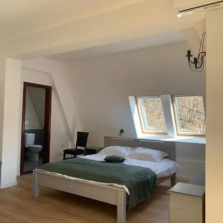 Casa Vanatorilor 4* Băile Olăneşti