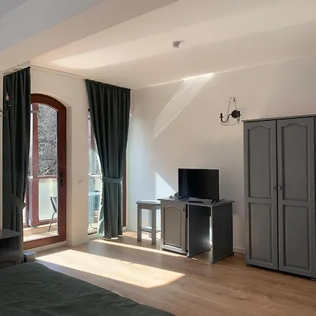 Pensiune Casa Vanatorilor Băile Olăneşti