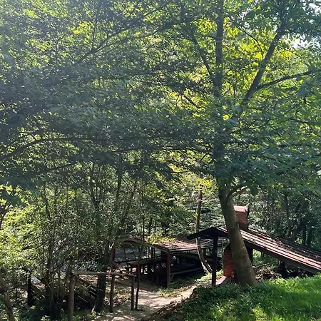 Casa Vanatorilor 4* Băile Olăneşti