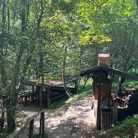 Casa Vanatorilor 4* Băile Olăneşti