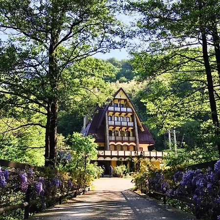 Casa Vanatorilor 4*