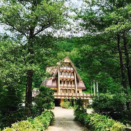 Casa Vanatorilor 4* Băile Olăneşti