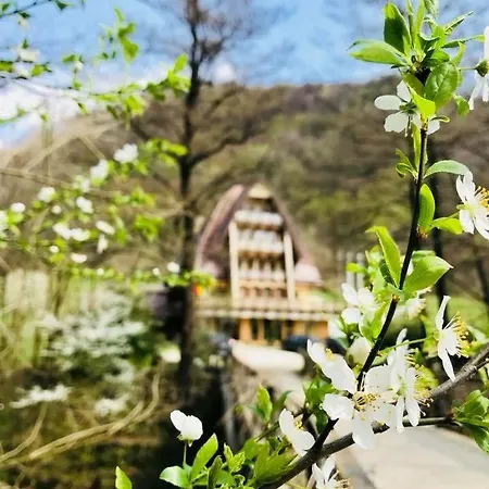 Casa Vanatorilor Pensiune Băile Olăneşti