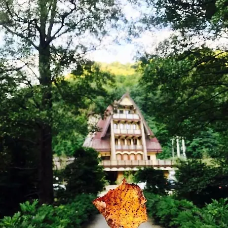 Casa Vanatorilor Băile Olăneşti