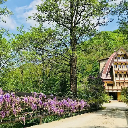 Casa Vanatorilor Pensiune 4*