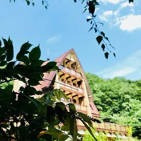 Casa Vanatorilor Pensiune 4*