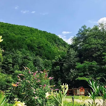 Casa Vanatorilor Băile Olăneşti