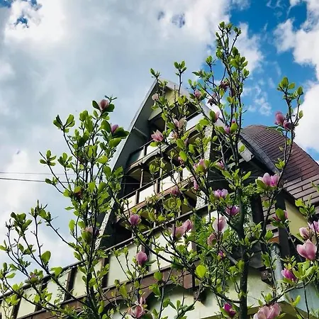 Casa Vanatorilor Băile Olăneşti